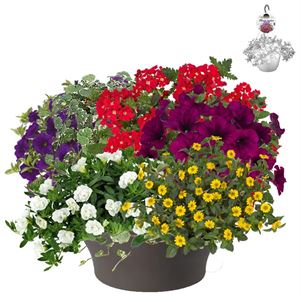 Afbeelding van HP30 XXL Mix 09